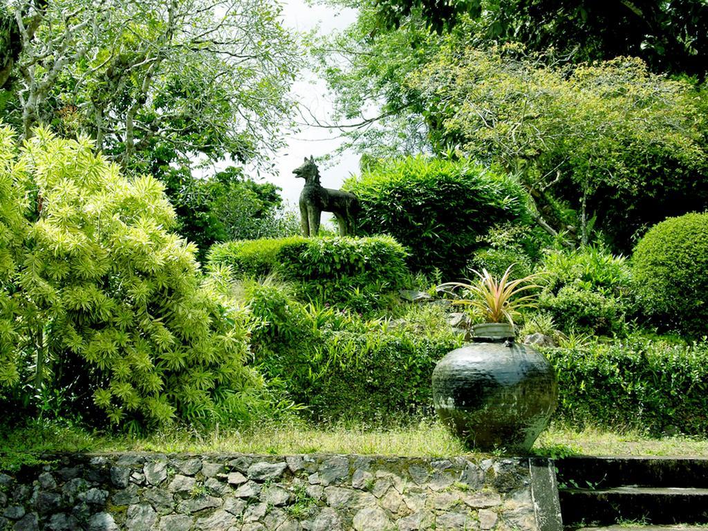 Lumbini Villa 벤토타 객실 사진